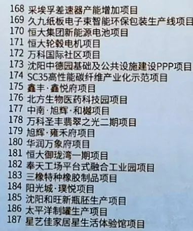 辽宁省上海商会参加铁西经开区“亲清共赢 协同发展”政商交流座谈会(图21)