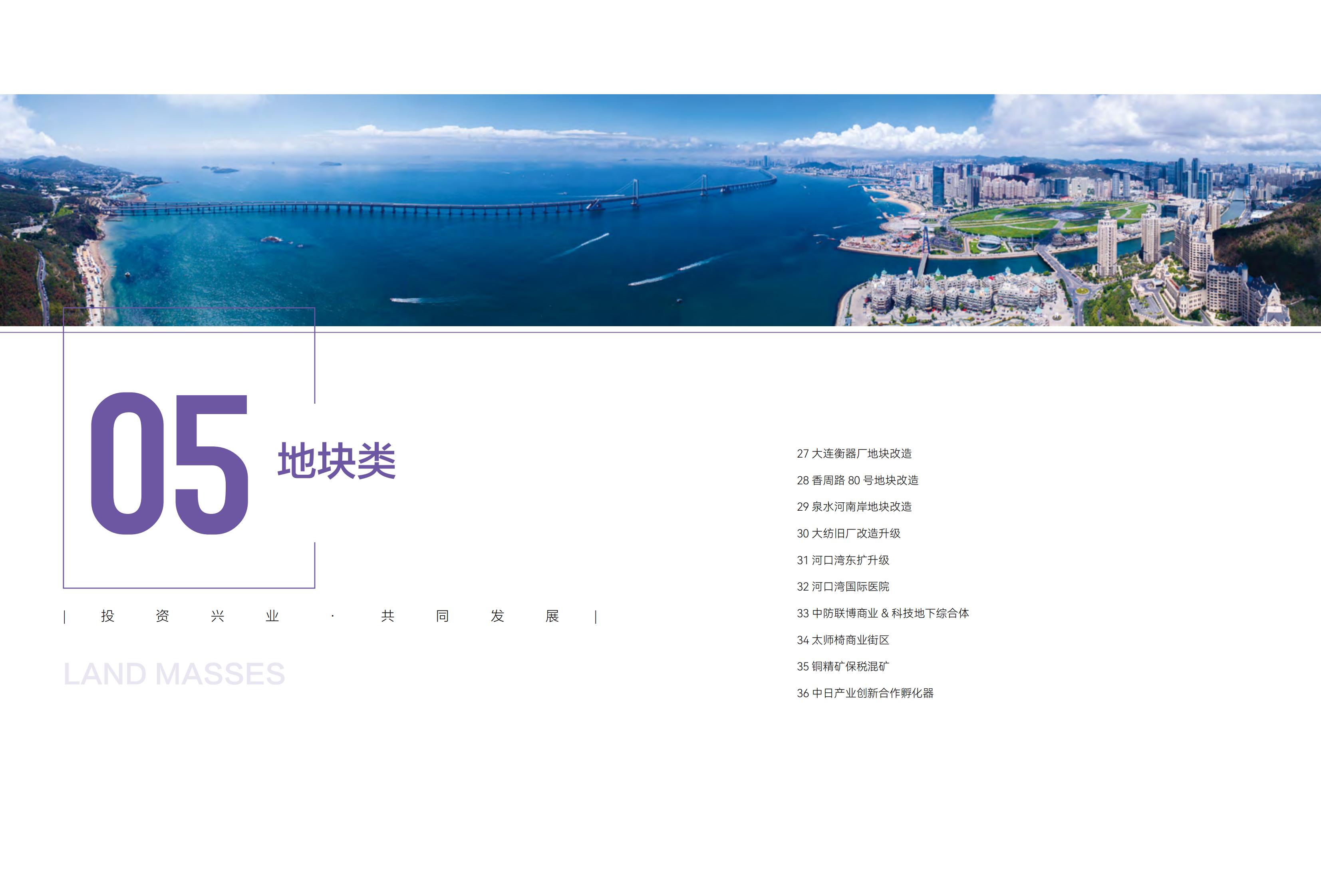 大连市谋划项目招商手册-服务业01(图22)