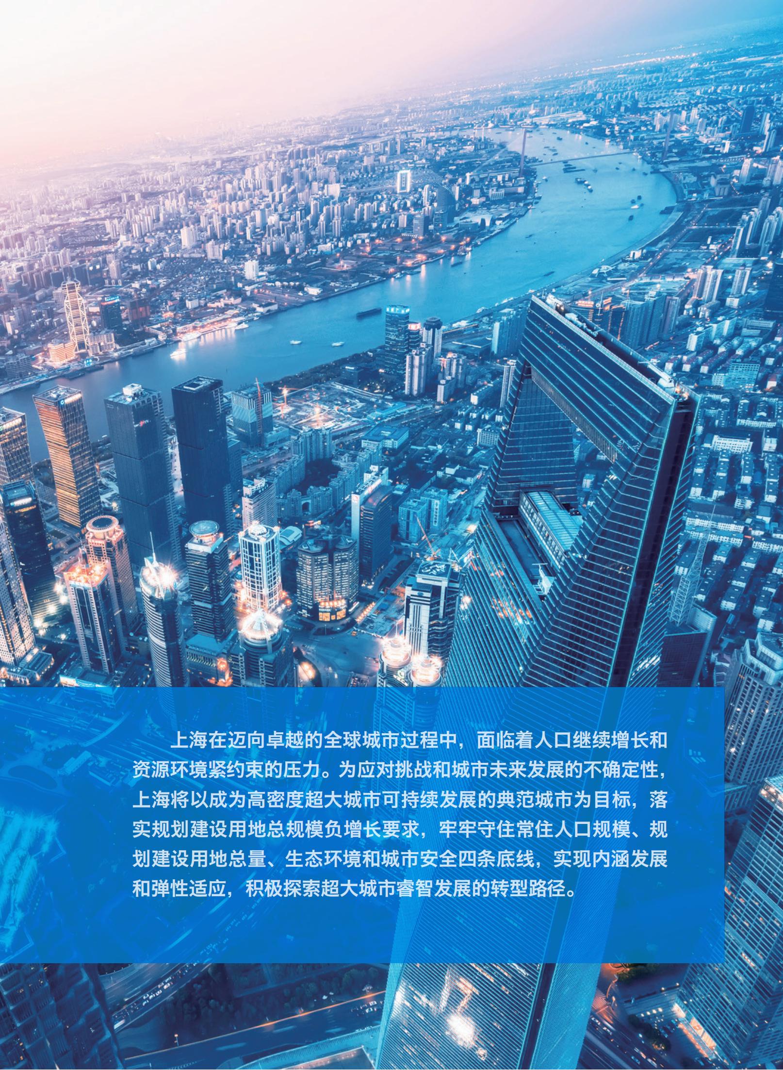 上海市城市总体规划（2017-2035年）(图39)