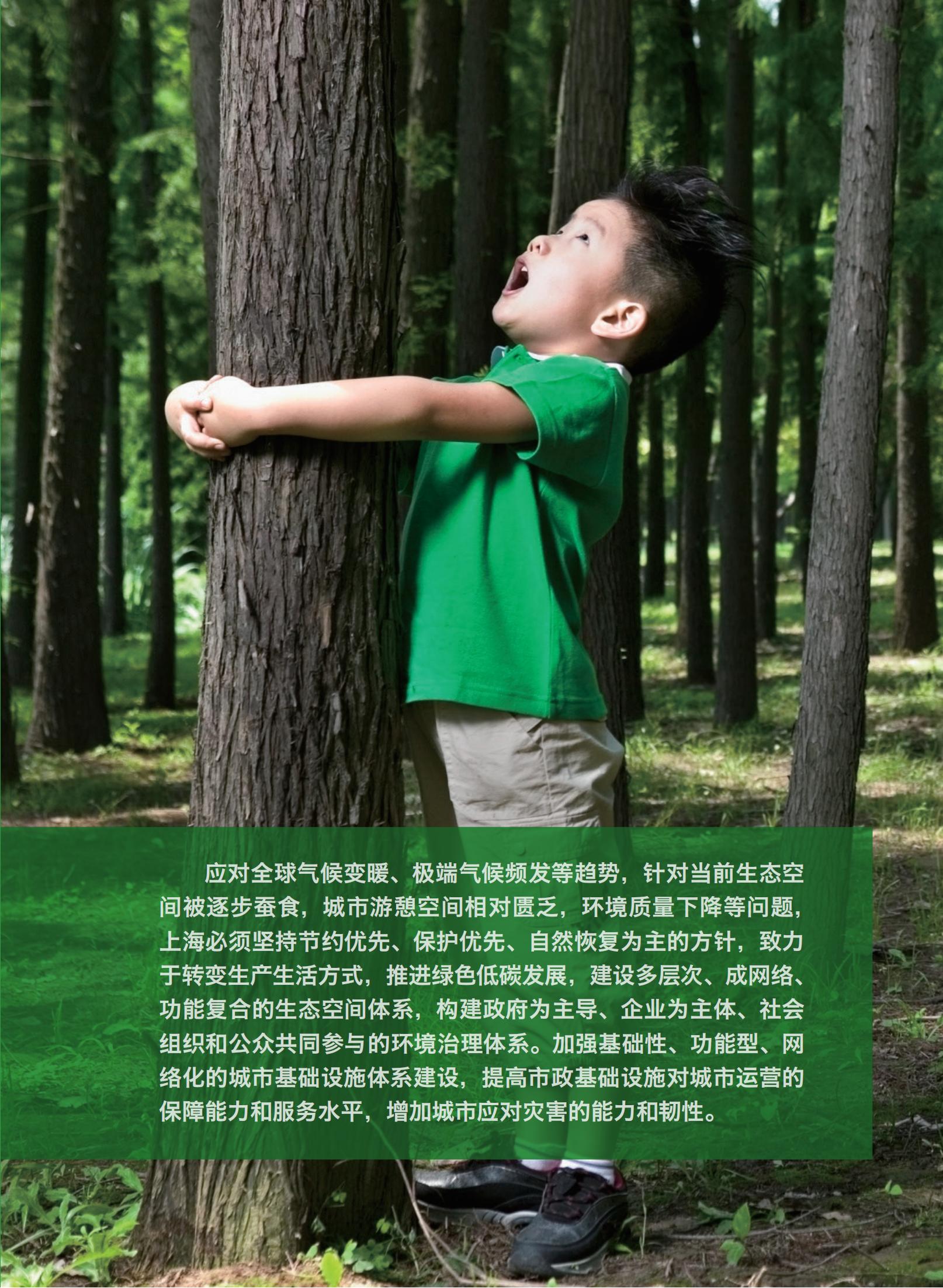 上海市城市总体规划（2017-2035年）(图151)