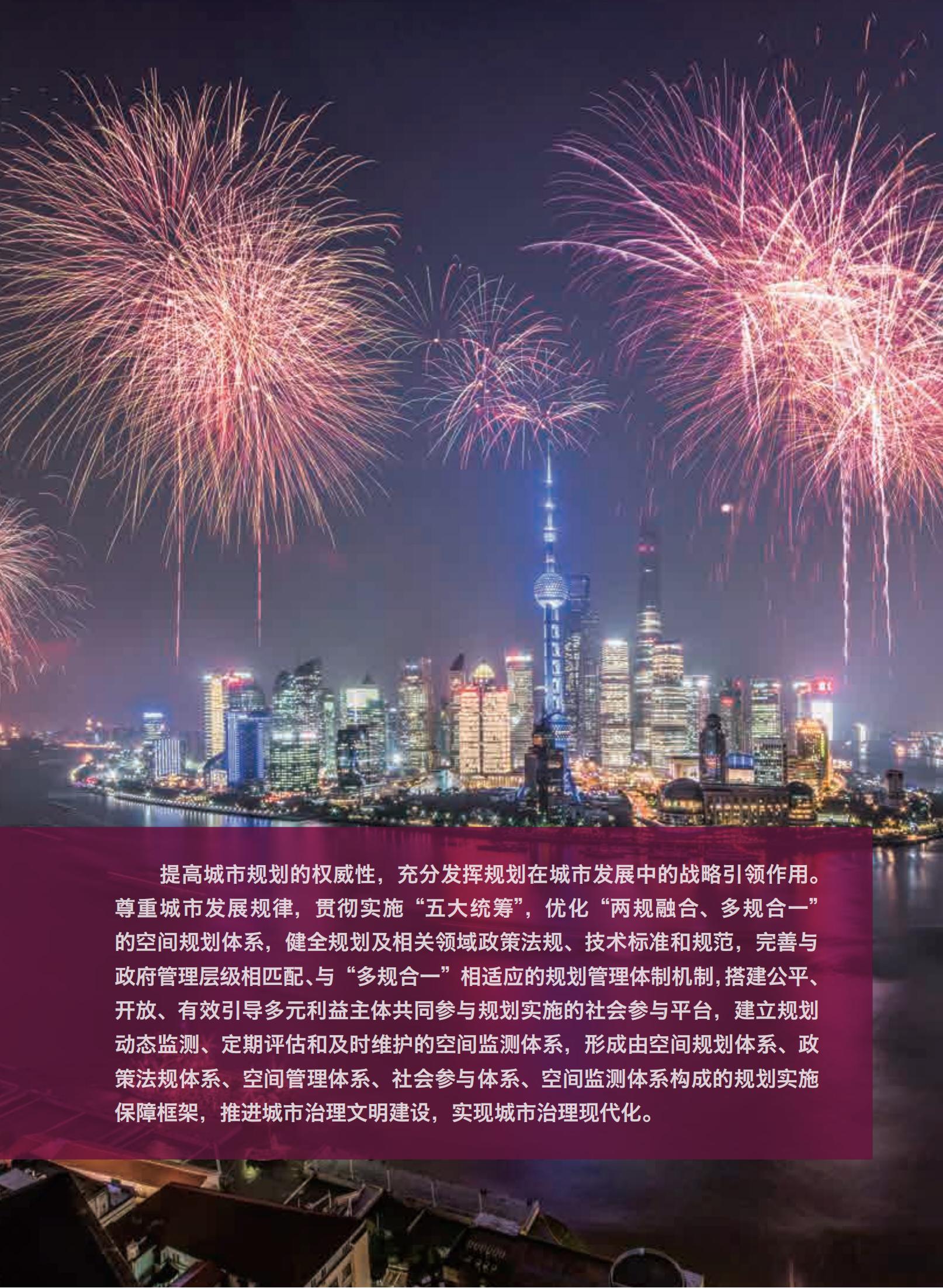 上海市城市总体规划（2017-2035年）(图167)