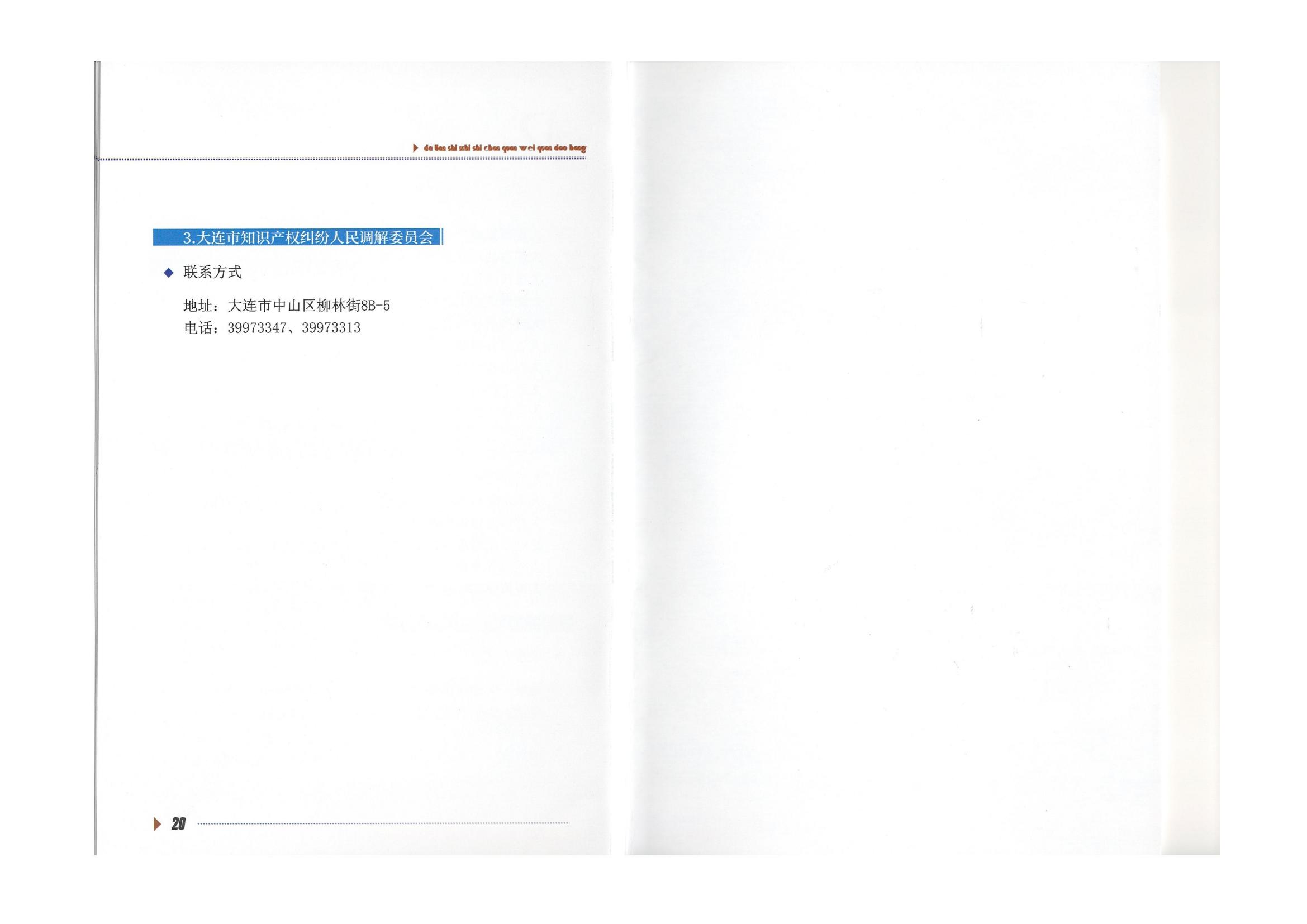 大连市知识产权维权导航（2022）(图12)