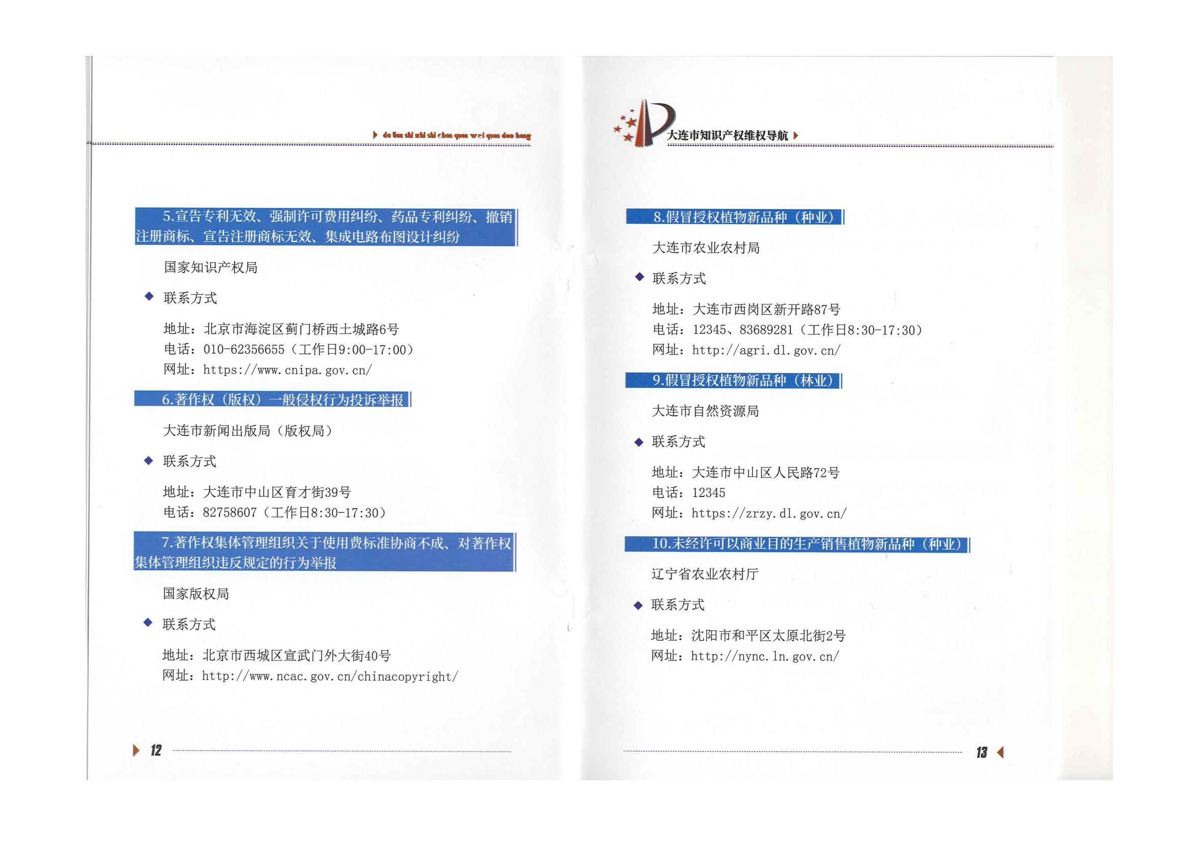 大连市知识产权维权导航（2022）(图8)